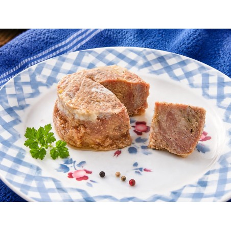 Terrine de canard